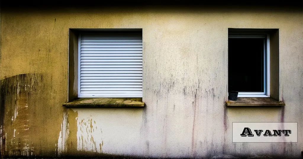 démoussage nettoyage vapeur basse pression. démoussage de façade à la vapeur